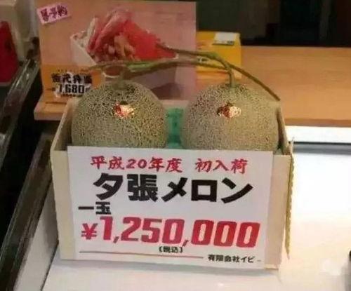 娱乐吃瓜大ip,那些你不知道的“吃瓜”大IP背后的故事