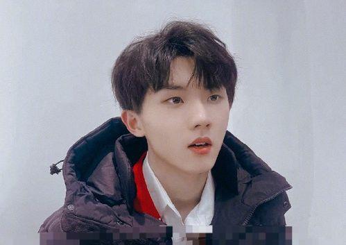 娱乐圈吃瓜马嘉祺是谁,吃瓜群众心中的谜团揭晓