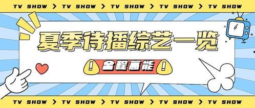 娱乐吃瓜号的配音,吃瓜号配音背后的故事