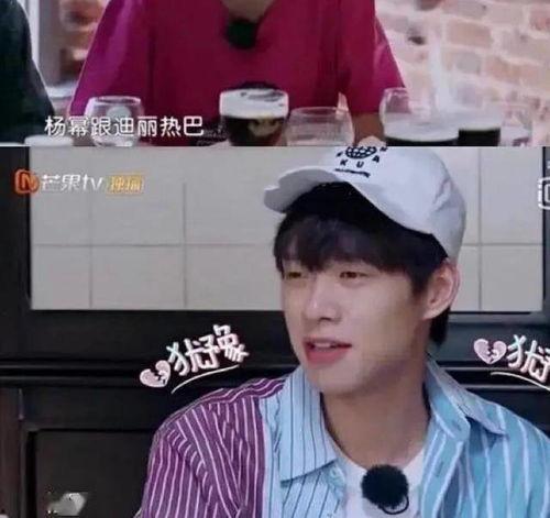 娱乐圈吃瓜爆料肖战杨紫,娱乐圈的甜蜜瓜田，揭秘他们的幕后故事